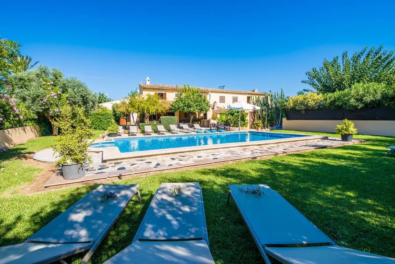 Ideal Property Mallorca - Verga Pollenca