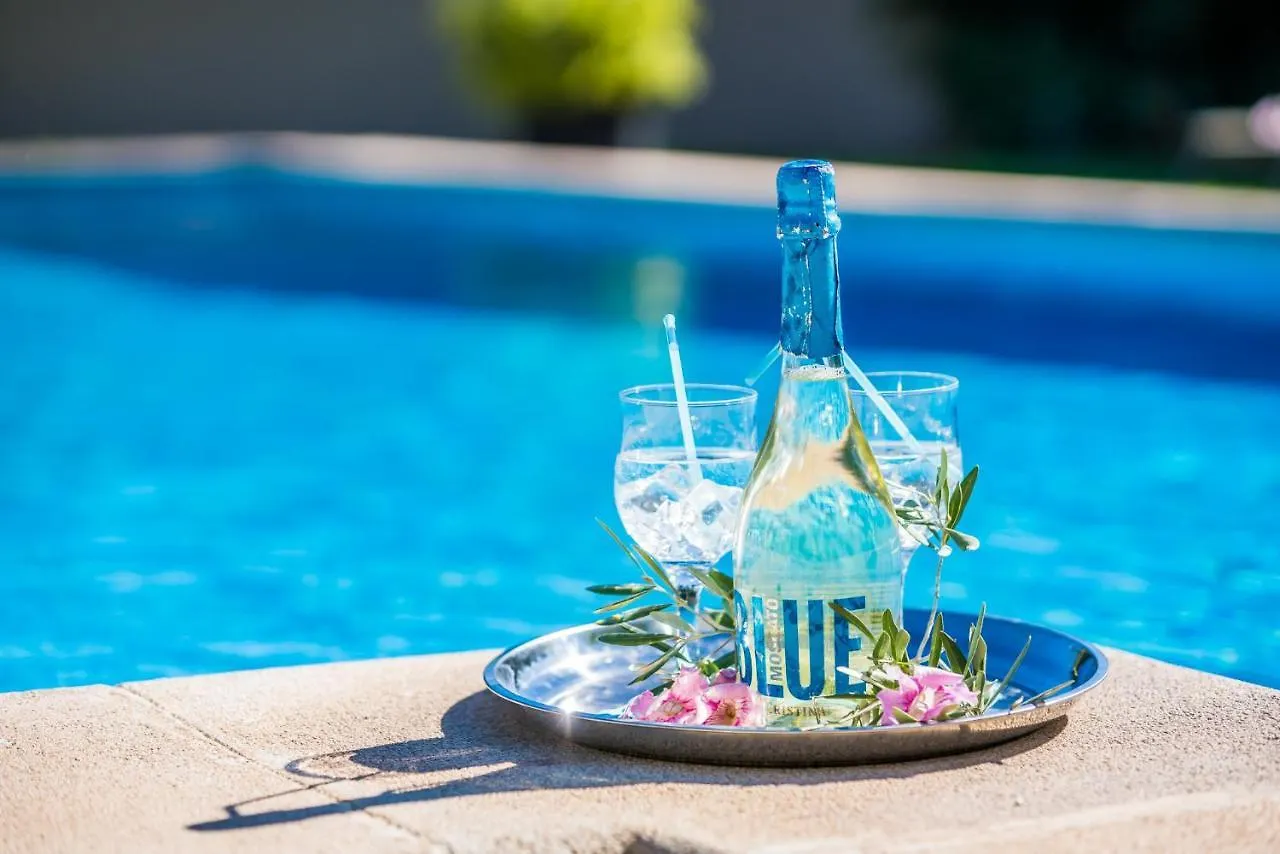 Ideal Property Mallorca - Verga Pollenca