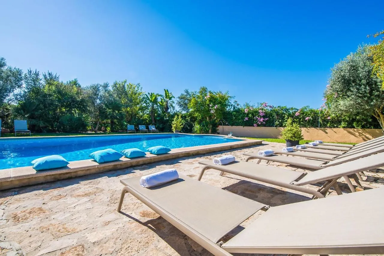 Ideal Property Mallorca - Verga Pollenca Spain